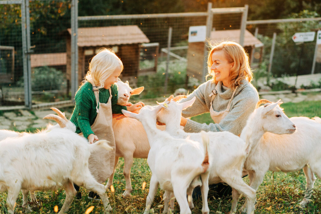 Agritourism 1 1024x683