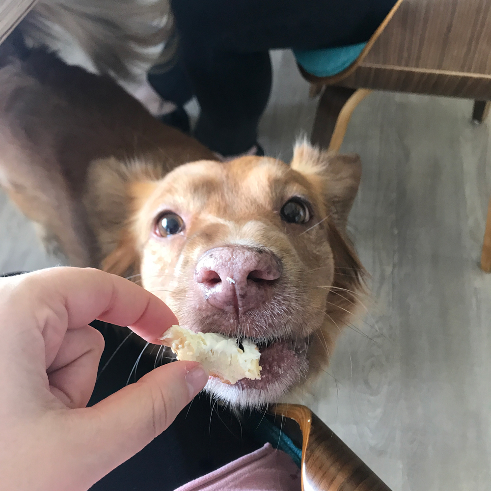 Snacks