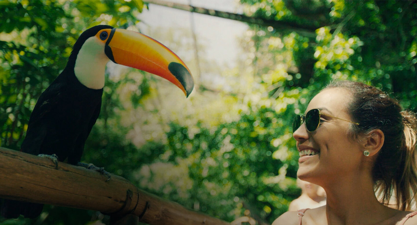 Parques das aves feature