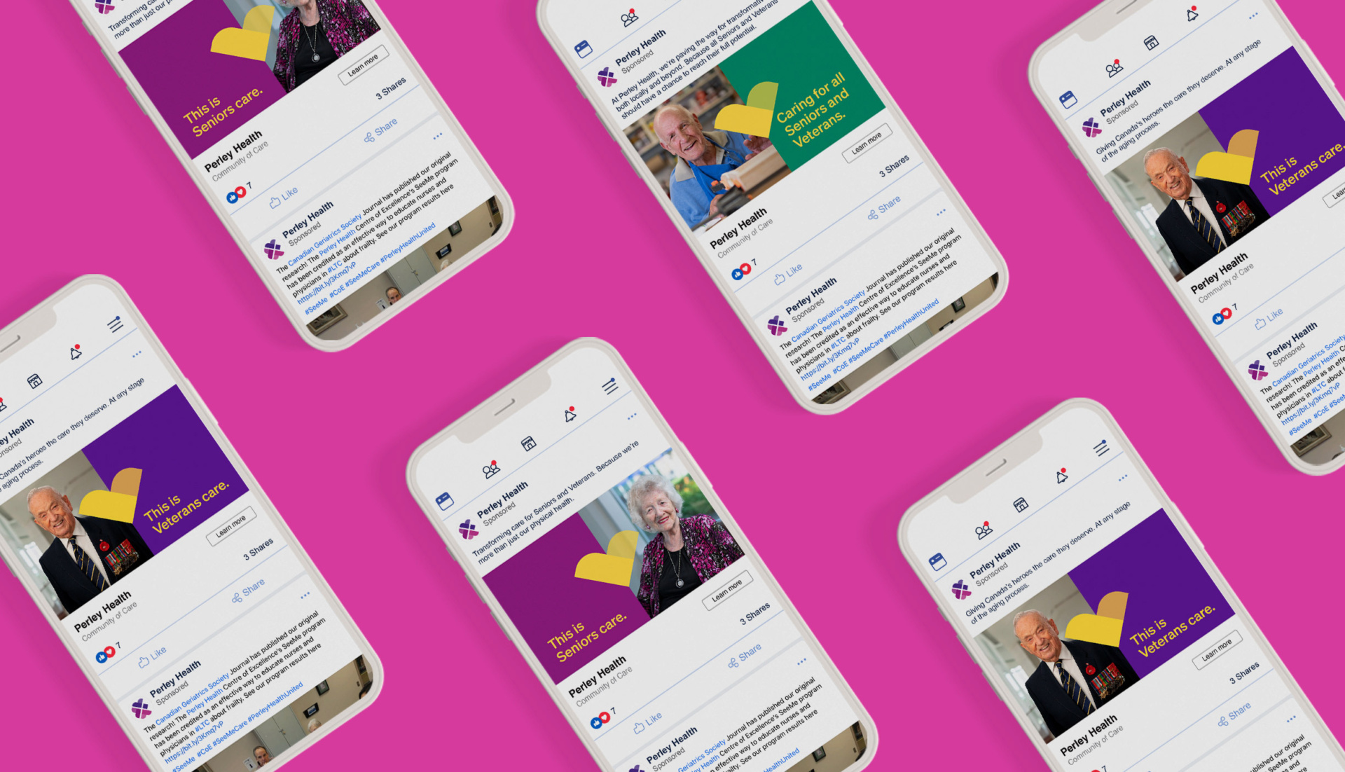 ALP 15153 Website Case Study Perley Social Ads